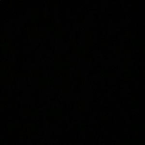 Meet your Posher, Roxanna